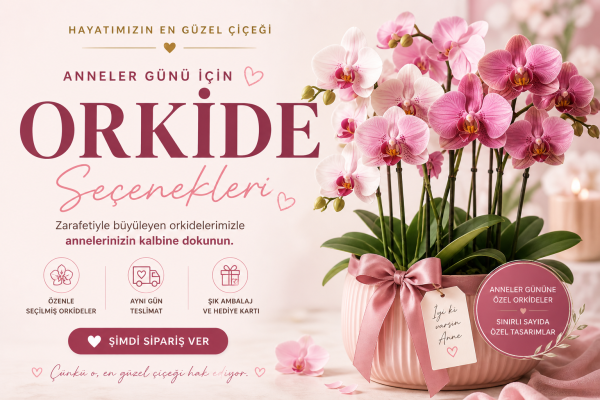 Doğum günü çiçekleri kategorisi