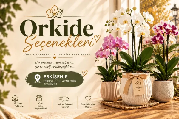 Doğum günü çiçekleri kategorisi