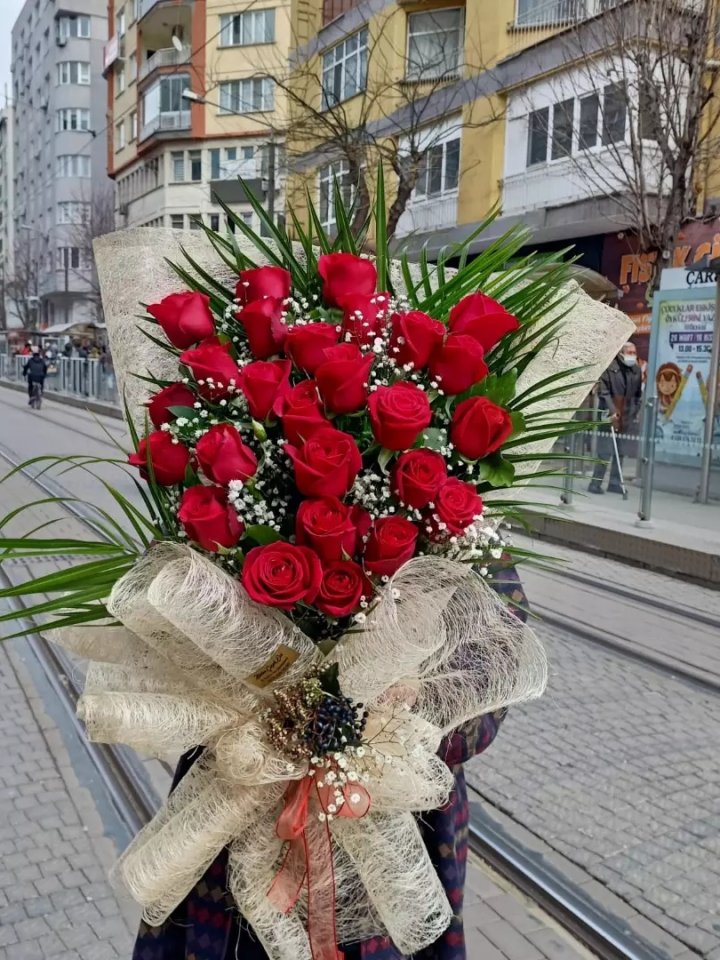 Kırmızı Güllerin Cazibesi