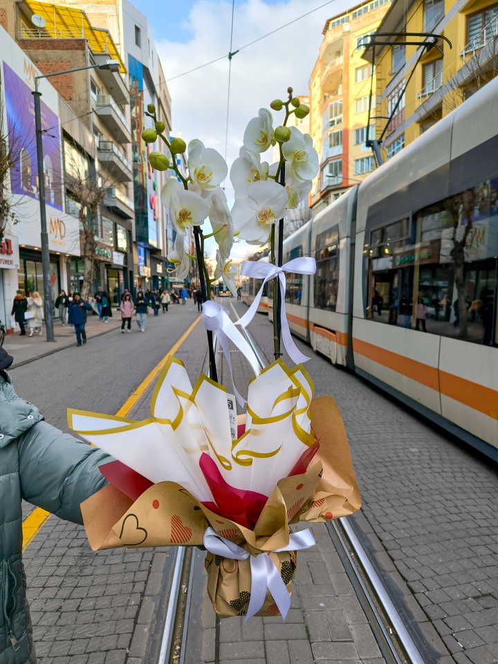 2 Dallı Şık Beyaz Orkide