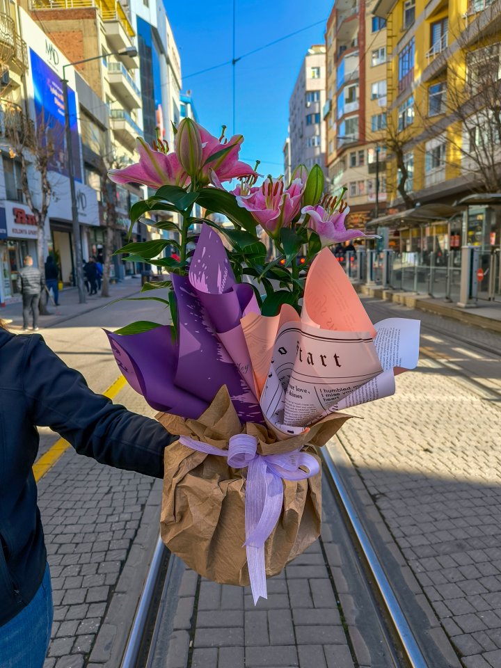 Saksıda Pembe Lilyum Çiçeği