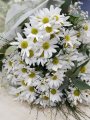 Çiçekçi - Beyaz Papatya Buketi